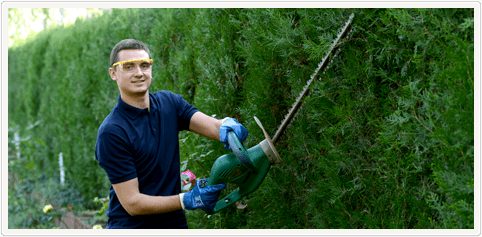 Gardener Services London