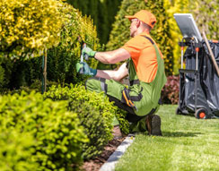 Gardeners Battersea