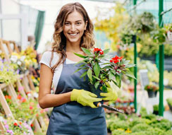 Gardeners Chiswick