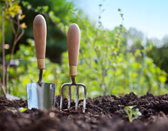 Gardeners Clapham