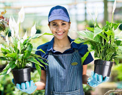 Gardeners Enfield