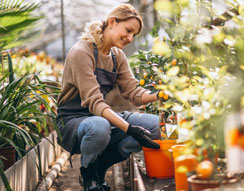 Gardeners Islington