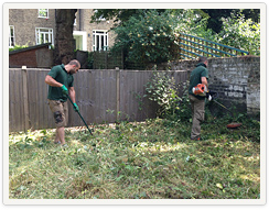 Garden Clean Up in London