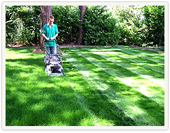 Lawn Care 